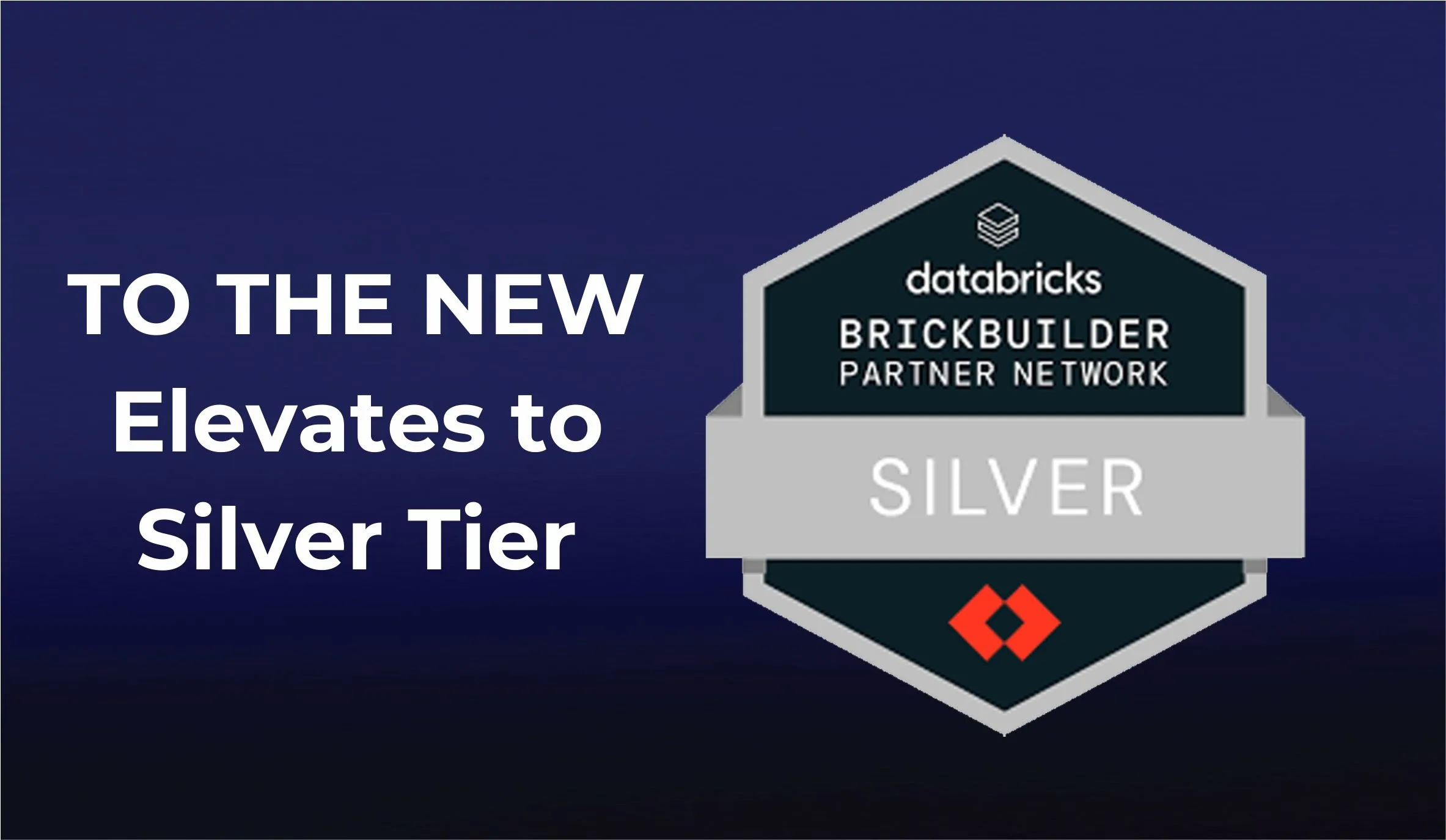 TO THE NEW’s Databricks Brickbuilder Silver Partner leap decoded