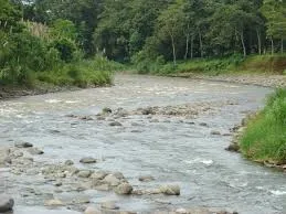 App on river pollution launched