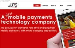 JunoTele appoints ex-PayU's executive as Chief Business Officer