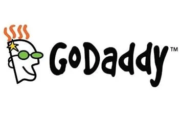 Godaddy helps Punjab based Web Services company achieve 30% revenue growth annually