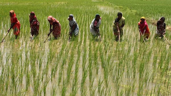 Uflex and Fiinovation Join Hands Madhya Pradesh