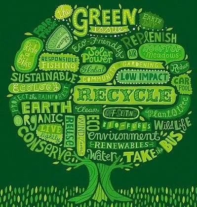 Uber releases a Green Index on World Environment Day