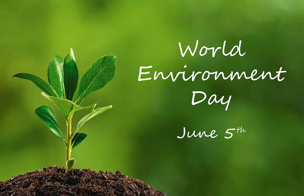 4 steps on How to save the environment for employee/organization
