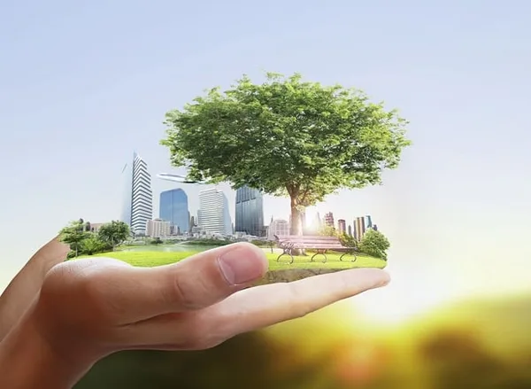 Striding to New Year 2022 - Cradling the Energy Transition