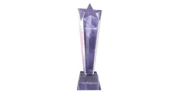 Rashi Peripherals Wins Business Contribution Award From Western Digital