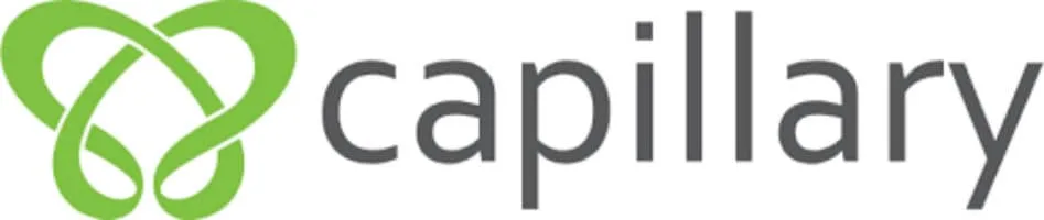 Accelerate, A Digital Growth Initiative by Capillary Technologies, Is Now a Google Premier Partner