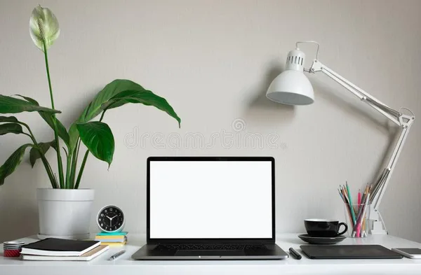 COVID-19 Pandemic: Govt asks private companies to work from home